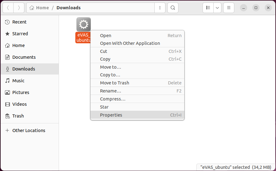 eVAS: Ubuntu properties